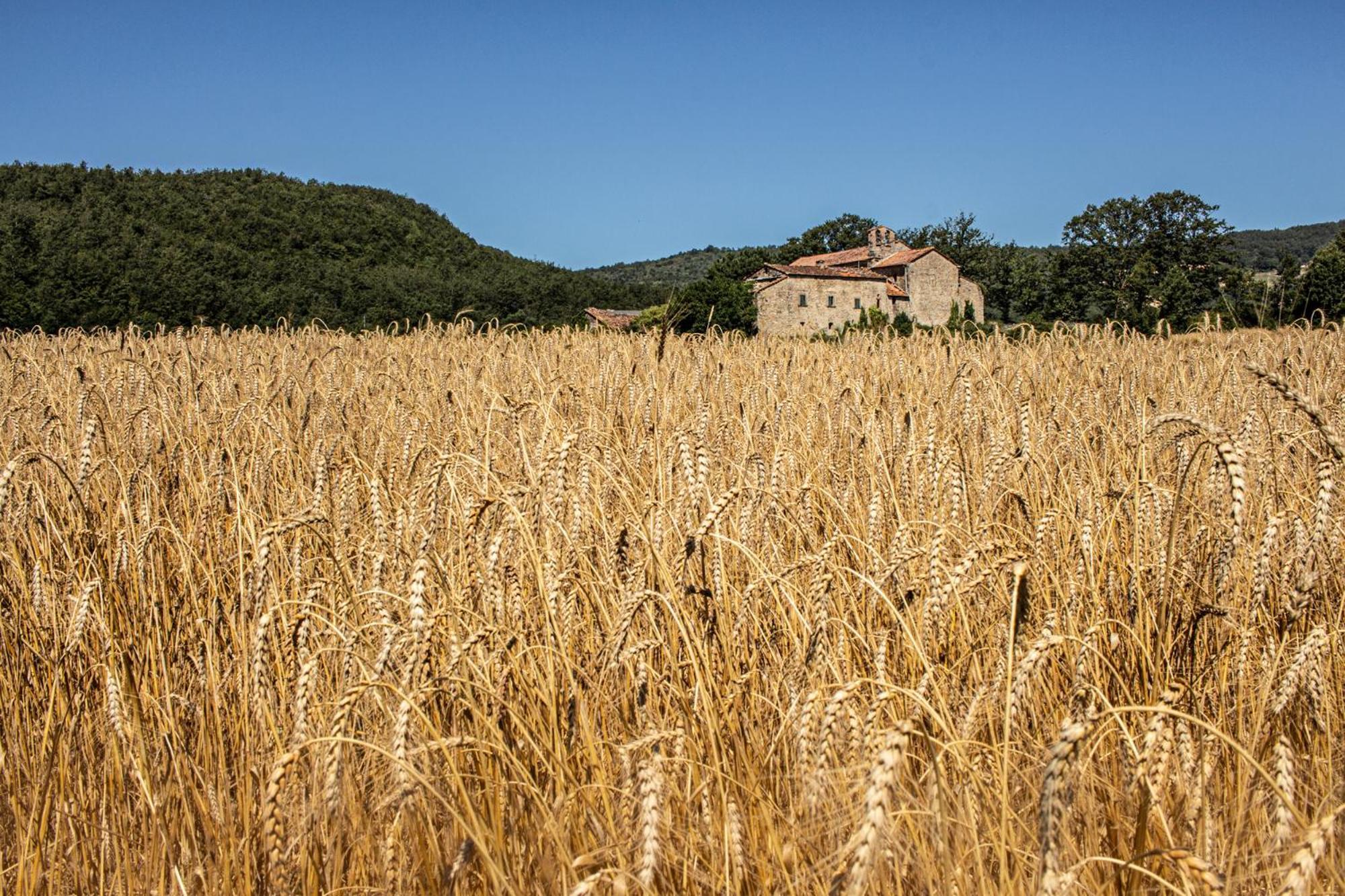 Agriturismo Terra Di Michelangelo Caprese Michelangelo Exterior photo